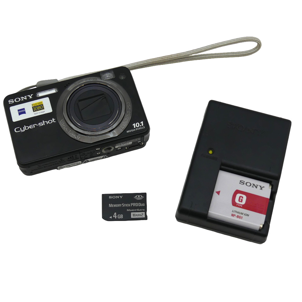 Sony Cyber-shot DSC-W170 10.1MP Digital Camera 5x Zoom Charger 4GB Memory Card
